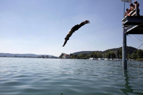 um pássaro a saltar de uma doca para um corpo de água em Ferienhaus Sonnenhaus em Bodman-Ludwigshafen
