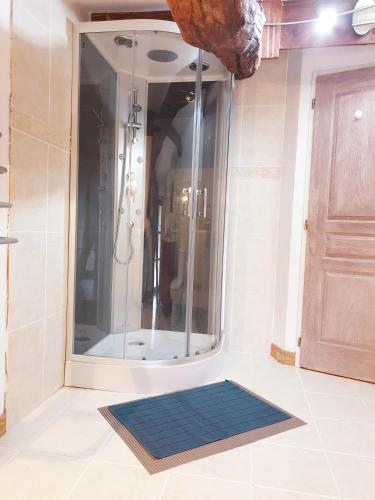 La salle de bains est pourvue d'une douche et d'un tapis bleu. dans l'établissement La Grue Gites, à Mons