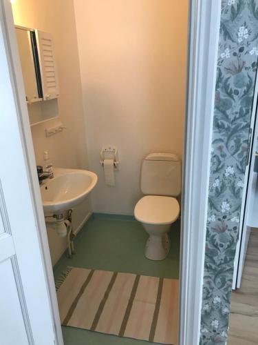 a bathroom with a toilet and a sink at Sjötorps Säteris Bed & Breakfast Flygeln in Larv