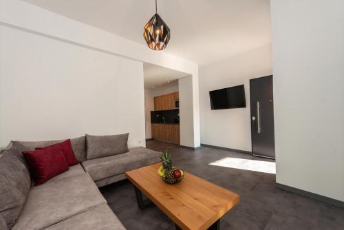Ioulia`s Apartments في بلاتاريا: غرفة معيشة مع أريكة وطاولة
