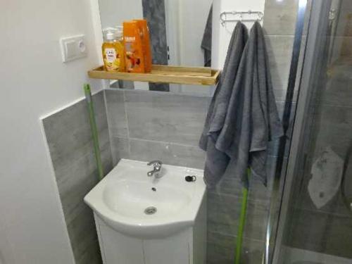a bathroom with a sink and a shower at Suwałki Centrum in Suwałki