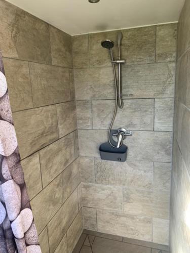 a shower with a shower head in a bathroom at Maple Hut Four Acre Farm in Aylsham