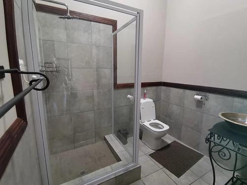 a bathroom with a shower with a toilet and a sink at Kralinbergh Estate Guesthouse in Ermelo