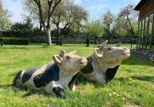 twee standbeelden van koeien in het gras bij Atelier Onder de Notenboom in Appeltern