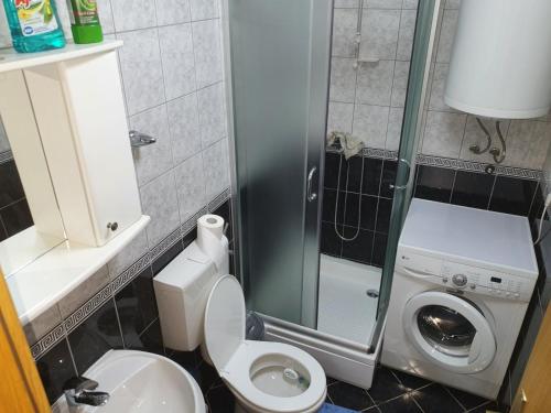 a small bathroom with a toilet and a washing machine at Apartman Spaseski in Ohrid