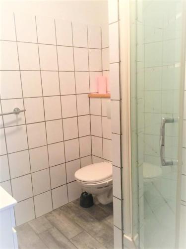 une salle de bain avec toilettes et douche en verre dans l'établissement Appartement cosy à Rosny-sous-Bois 42 m² avec parking, à Rosny-sous-Bois