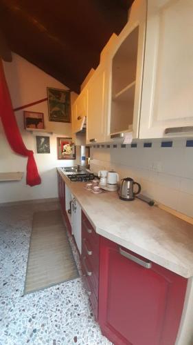 a kitchen with a counter and a stove top oven at La Marmotta in Luserna San Giovanni