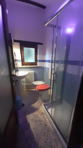 a bathroom with a toilet and a sink at La Marmotta in Luserna San Giovanni