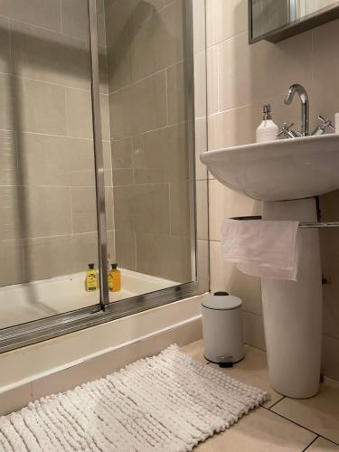 uma casa de banho com um lavatório, um chuveiro e um tapete em Belfast Loft em Belfast