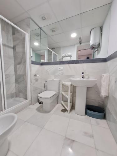ein Bad mit einem WC, einem Waschbecken und einer Dusche in der Unterkunft DreamsApt Sierpes in Sevilla