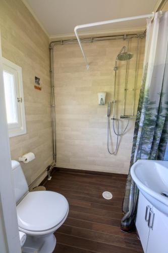 a bathroom with a toilet and a shower and a sink at Brukshotellet Skinnsberg in Skinnskatteberg