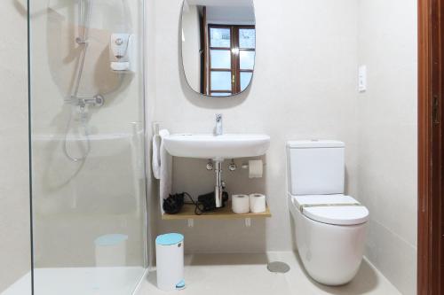 W łazience znajduje się toaleta, umywalka i lustro. w obiekcie Sete Artes by Como en Casa w Santiago de Compostela