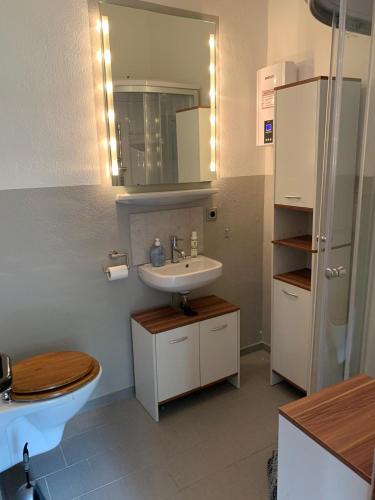a bathroom with a sink and a toilet and a mirror at Haus Semper in Lietzow