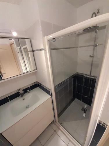 une salle de bain avec une douche, un lavabo et un miroir dans l'établissement Appartement Village Naturiste Macadamia, au Cap d'Agde