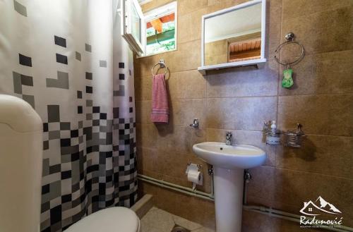 y baño con lavabo, aseo y ducha. en Mountain House Komovi, en Andrijevica