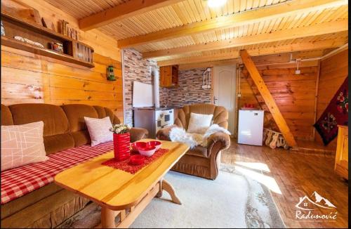 ein Wohnzimmer mit einem Sofa und einem Tisch in der Unterkunft Mountain House Komovi in Andrijevica