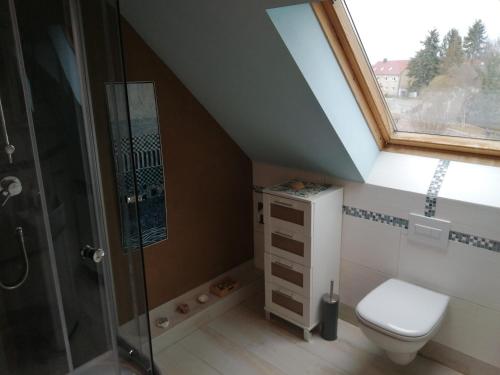 a bathroom with a toilet and a glass shower at Haus Schmeile in Magdeburg