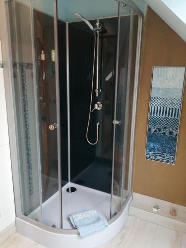 a shower with a glass enclosure in a bathroom at Haus Schmeile in Magdeburg