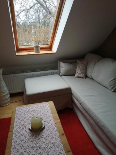 a living room with a couch and a window at Haus Schmeile in Magdeburg