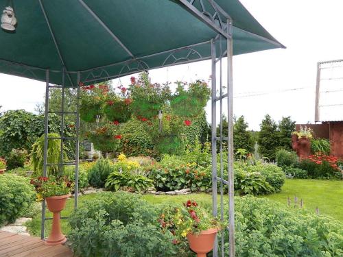 a garden with plants and a green umbrella at Õuna Puhketalu in Jõgeva