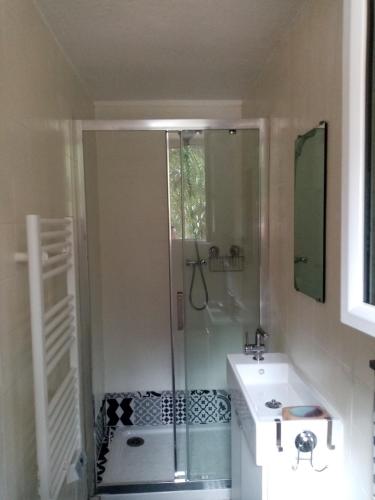 een badkamer met een douche en een wastafel bij les chênes verts in Nice