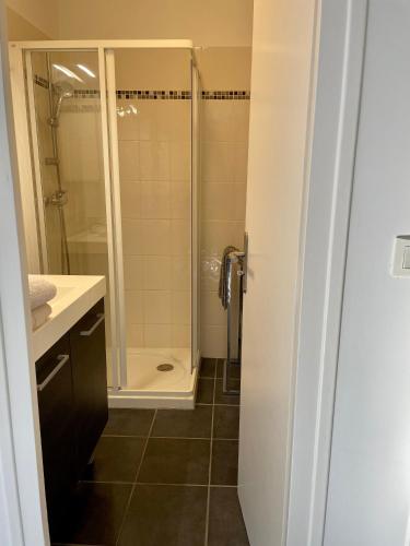 une salle de bain avec douche et lavabo dans l'établissement CAMP DE BASE SUR LE LAC DU BOURGET, au Bourget-du-Lac