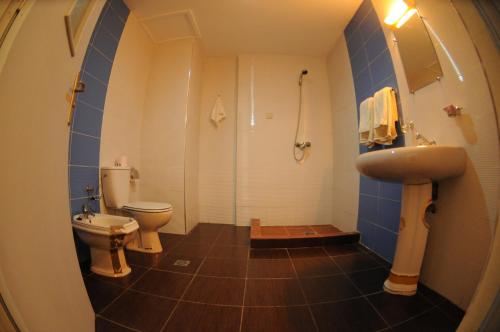 een badkamer met een toilet, een wastafel en een douche bij Free Zone Hotel in Gzennaïa