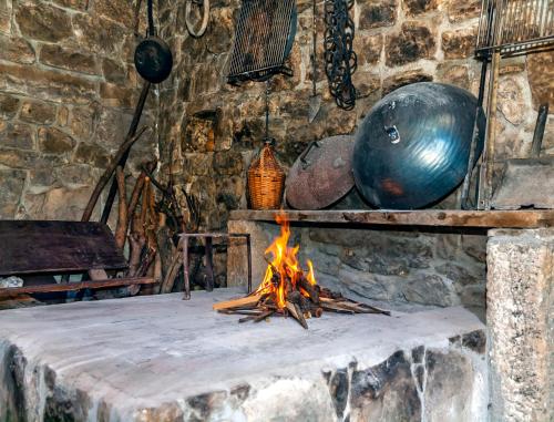 House Brstilo – Photos 4