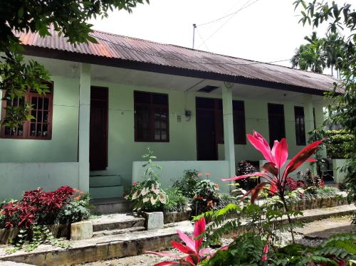 a small green house with plants in front of it at Beach Guest House in Maninjau