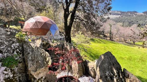 eine große Felswand mit einer Kuppel auf einem Feld in der Unterkunft DomoCantabria in Sobremazas