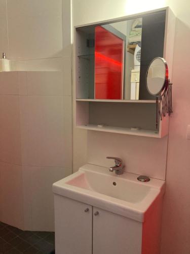 ドゥアルヌネにあるGrand Studio Type Loftのバスルーム(洗面台、鏡付)