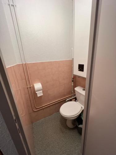 ein kleines Badezimmer mit Toilette und Dusche in der Unterkunft Bel Appartement en rez de chaussée in Cauterets