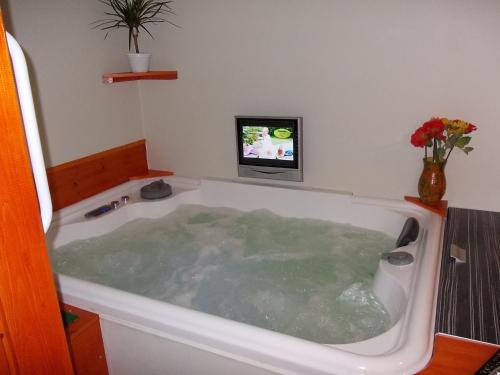 TV a/nebo společenská místnost v ubytování Maxilux Studio