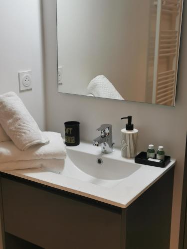 une salle de bain avec un lavabo et un miroir dans l'établissement Les Ganivelles, à Donville-les-Bains