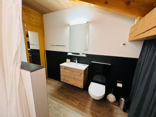 La salle de bains est pourvue de toilettes, d'un lavabo et d'un miroir. dans l'établissement Maisonette Franz, à Vals