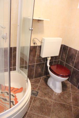 a bathroom with a toilet with a glass shower at Ge-Ni Mala Duba 86 in Živogošće