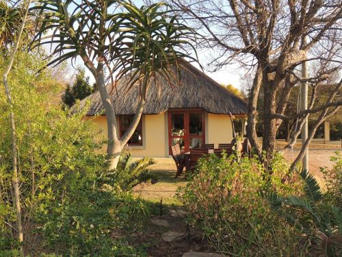 a small yellow house with a thatch roof at Strawberry Fields Country Manor Guest House in Johannesburg