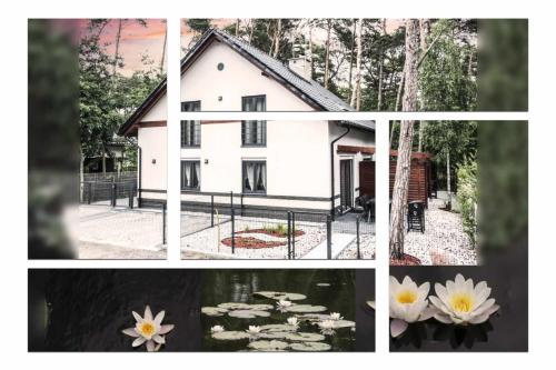 Lily - Sunny Flowers Apartments