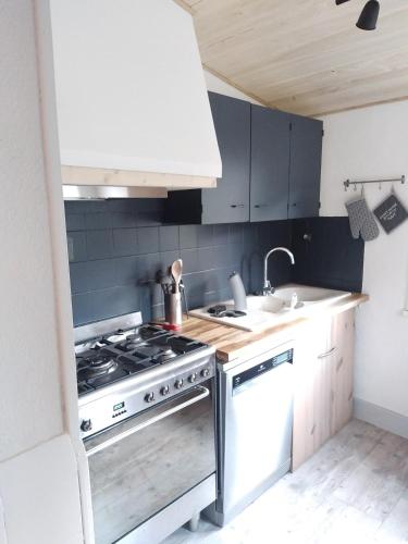 une cuisine avec une cuisinière et un évier dans l'établissement Maison 4 personnes en bord de rivière, à Sarrancolin