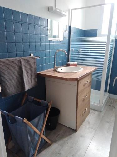 une salle de bain avec un lavabo et un miroir dans l'établissement Maison 4 personnes en bord de rivière, à Sarrancolin