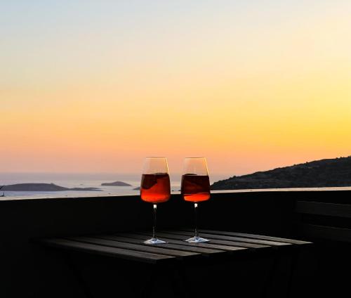 Imagem da galeria de Gorgeous private Villa with sea view! em Andros