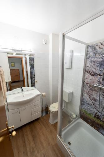 a bathroom with a toilet and a sink and a shower at Alpin Apartments in Maria Alm am Steinernen Meer