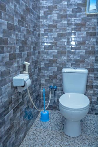 a bathroom with a toilet with a cleaning brush at Johnsons StopPoint in Zame