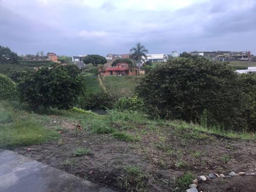 a field with trees and a house in the background at amplias zonas verdes, tranquilidad, seguridad 24/7 in Pereira