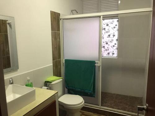 La salle de bains est pourvue d'une douche, de toilettes et d'un lavabo. dans l'établissement amplias zonas verdes, tranquilidad, seguridad 24/7, à Pereira