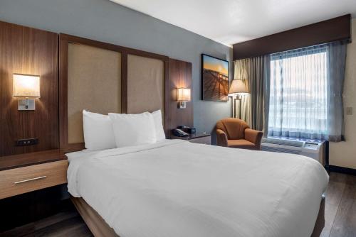 Imagen de la galería de Best Western Salisbury Plaza, en Salisbury