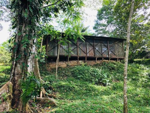a building in the middle of a forest with trees at Eco Hotel Aldea -AMAZONAS in Puerto Nariño