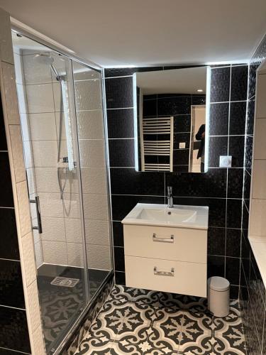 y baño con lavabo y ducha. en Le Black & White, hyper centre - paisible- wifi HD- NETFLIX- proche gare -Ideal couple et business, en Niort