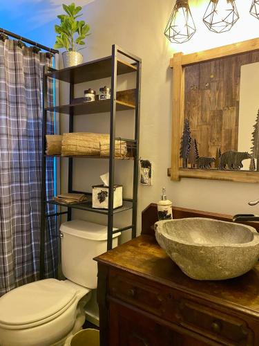 a bathroom with a sink and a toilet at Bearvista in Arnold