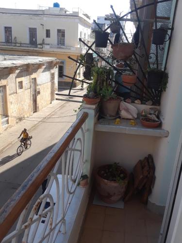 a person riding a bike down a balcony with potted plants at Patricia y Jesus in Havana